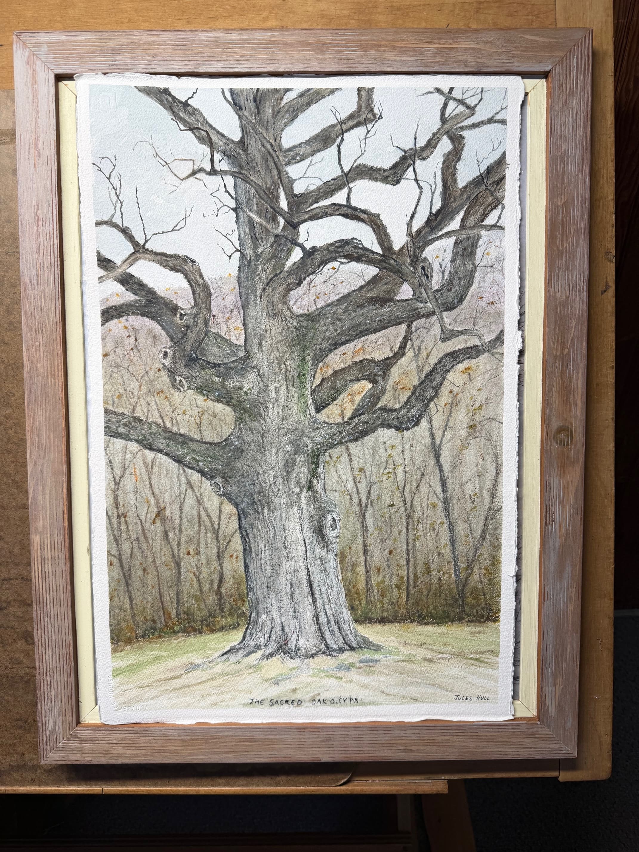 The Sacred Oak Oley PA